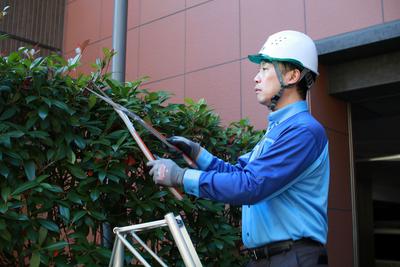 ナックダスキン事業部第３８支店トータルグリーン（庭木管理スタッフ）のアルバイト写真