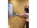 ダスキン飾磨支店SMC34のアルバイト写真