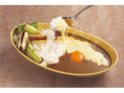 博多カレー研究所 「博多とんこつあごだしカレー」のアルバイト