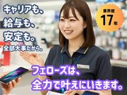 株式会社フェローズ(D経験)SPO_DK_22_77T(A)(SPO)のアルバイト写真(メイン)