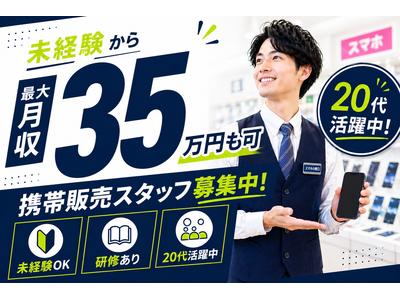 株式会社フェローズ(D未経験)OSK_D_1183_1725T(A)(OSK)のアルバイト