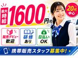 株式会社フェローズ(SB未経験量販)D1_S_789_1167T(A)(D1)のアルバイト写真