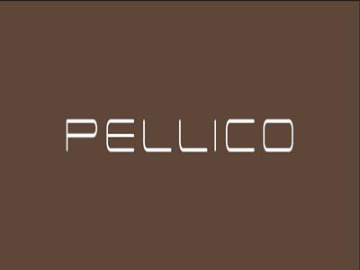 婦人靴販売スタッフ/イタリアのシューズブランド「PELLICOペ...