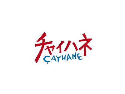 ファッション人材リンク株式会社札幌支店　チャイハネ＊雑貨販売/イオンモール新利府店092【FJL】のアルバイト