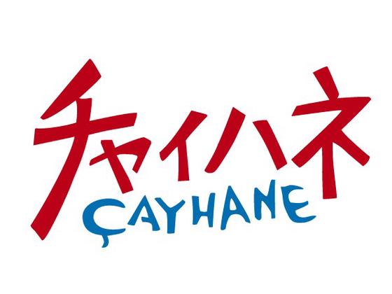 ファッション人材リンク株式会社札幌支店　チャイハネ＊雑貨販売/イオンモール新利府店092【FJL】のアルバイト写真