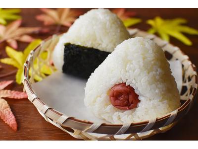 ファッション人材リンク株式会社大阪支店 おにぎり販売スタッフ/ジェイアール新大阪駅1454【FJL】のアルバイト