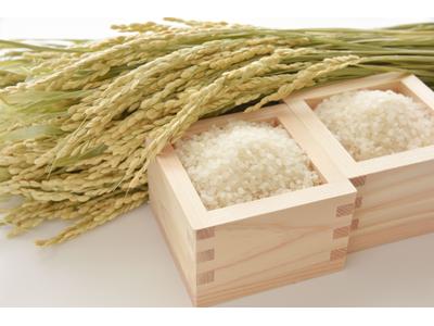 ファッション人材リンク株式会社 大阪支店 ギフトにも人気なお米専門店｜川西阪急0208【FJL】のアルバイト