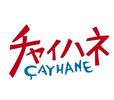 ファッション人材リンク株式会社名古屋支店/ チャイハネ▼イオンモール須坂/nya298-1229【FJL】のアルバイト写真