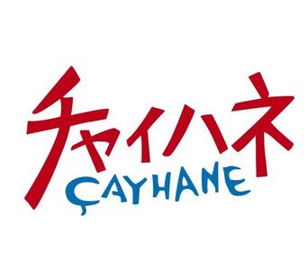 ファッション人材リンク株式会社名古屋支店/ チャイハネ▼イオンモール須坂/nya298-1229【FJL】のアルバイト写真