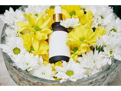 ファッション人材リンク株式会社　東京本社　オーガニックヘアケア/ボディケアコスメ　新宿ルミネ　HKC003-641【FJL】のアルバイト