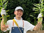やさいの王様 用賀店_01のアルバイト写真(メイン)
