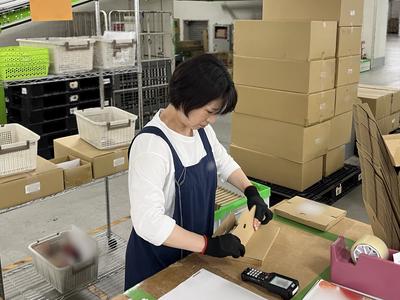 株式会社ベルーナ・ジーエフ・ロジスティクスのアルバイト