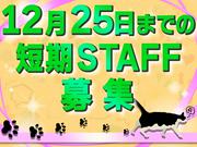 株式会社G.O.A.T_倉庫スタッフ_川崎_夜勤12/25短期(1)のアルバイト写真2