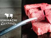 ＧＹＲＯ ＨＯＬＤＩＮＧＳ株式会社／上野 和牛焼肉 USHIHACHI 極03のアルバイト写真3