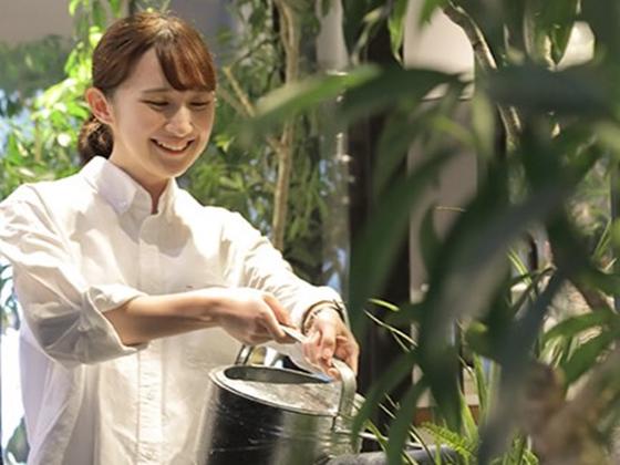 ＧＹＲＯ ＨＯＬＤＩＮＧＳ株式会社／ビーフキッチン　渋谷店03のアルバイト写真