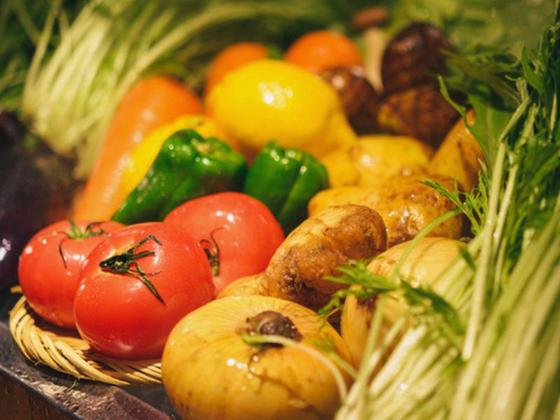 ＧＹＲＯ ＨＯＬＤＩＮＧＳ株式会社／出汁しゃぶ　おばんざい　おかか　新宿店03のアルバイト写真