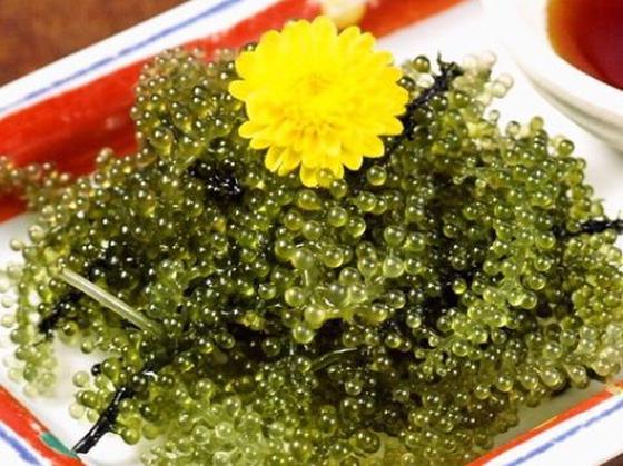 ＧＹＲＯ ＨＯＬＤＩＮＧＳ株式会社／ナンクルナイサきばいやんせー　森下店03のアルバイト写真