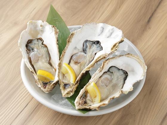 ＧＹＲＯ ＨＯＬＤＩＮＧＳ株式会社／函館炉端焼き　しげぞう　神保町店02のアルバイト写真