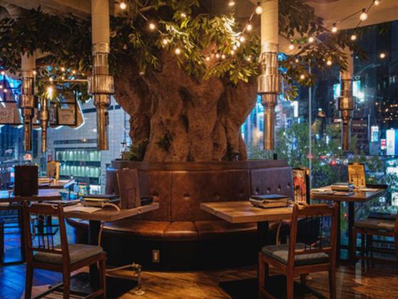 ＧＹＲＯ ＨＯＬＤＩＮＧＳ株式会社／渋谷 和牛焼肉 USHIHACHI 極01のアルバイト写真