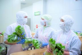 千葉県松戸市殿平賀 学校給食 調理師【パート】(13099)のアルバイト写真