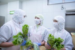 千葉県松戸市殿平賀 学校給食 調理師【社員】(13099)のアルバイト写真