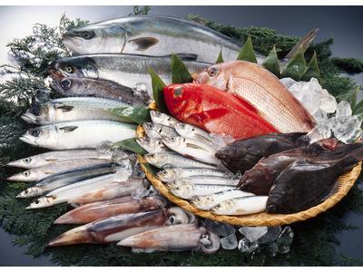 ハローズ 東広島店(アルバイト)鮮魚のアルバイト