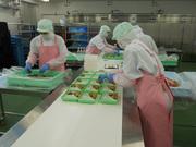 ハーベスト株式会社 5060湘南工場 調理部【ア】【パ】調理補助のアルバイト写真3