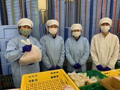 ハーベスト株式会社 696ヨシケイ相模加工【ア】【パ】調理補助のアルバイト