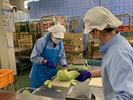 ハーベスト株式会社 694ヨシケイ湘南加工【ア】【パ】食材加工スタッフのアルバイト写真