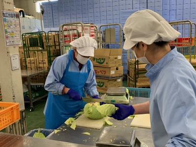 ハーベスト株式会社 694ヨシケイ湘南加工【ア】【パ】食材加工スタッフのアルバイト写真