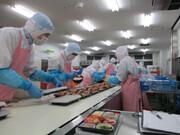 ハーベスト株式会社 5060湘南工場 調理部【ア】【パ】調理補助のアルバイト写真1