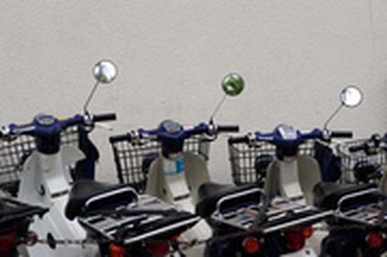 中日新聞北方専売店 はしもと新聞店(朝刊配達スタッフ)のアルバイト写真