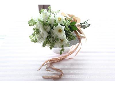 株式会社ウルウール 雀宮制作室のアルバイト