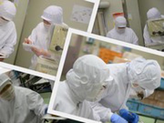 株式会社日出味噌醸造元 上野原工場のアルバイト写真