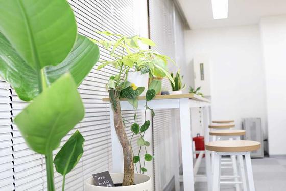 ひとはな みどり/cmmdのアルバイト写真