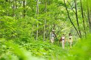 星野リゾート 星野エリア(ピッキオ軽井沢)のアルバイト写真1
