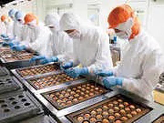 株式会社ホットランドフーズ_桐生工場2のアルバイト写真