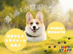 株式会社ホットスタッフ可児-37のアルバイト写真