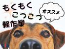 株式会社ホットスタッフ可児-32のアルバイト写真