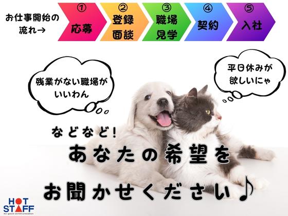 株式会社ホットスタッフ大垣のアルバイト写真