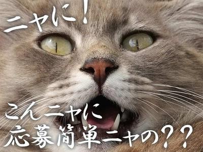 株式会社アイ・ファイン本社_C1101-上大岡2のアルバイト写真