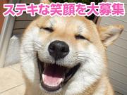 スマホ案内スタッフ_足利(株式会社アイ・ファイン)20~30代活躍中★【6月仕事開始可能!】688/GM01のアルバイト写真3