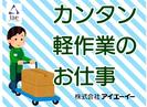 株式会社アイエーイー/5201gのアルバイト写真