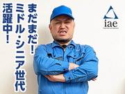 株式会社アイエーイー/6156iのアルバイト写真1