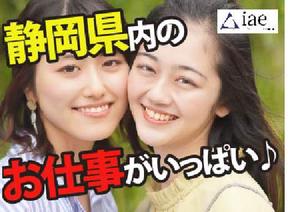 株式会社アイエーイー/6215gのアルバイト写真