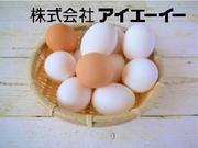 株式会社アイエーイー/4928iのアルバイト写真2