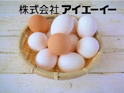株式会社アイエーイー/5055cのアルバイト写真