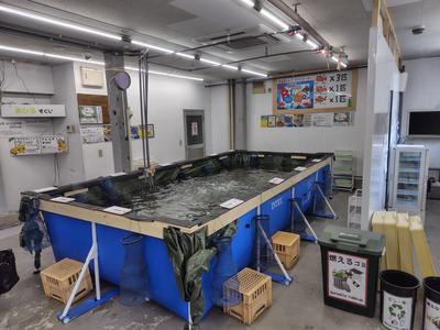 市ケ谷フィッシュセンターのアルバイト写真