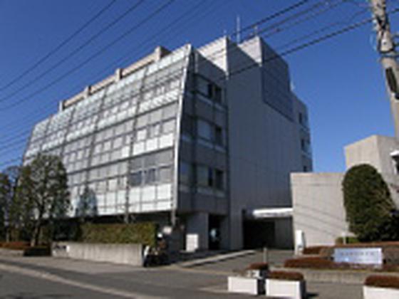 いであ株式会社 港湾部のアルバイト写真