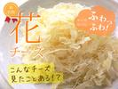 茶房伊豆自然生活のアルバイト写真